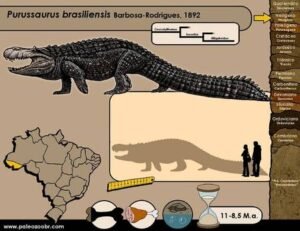 Cientistas descobrem que crocodilo extinto tinha a mordida mais forte do  reino animal, sendo superior a do Tiranossauro Rex - Portal AMIRT