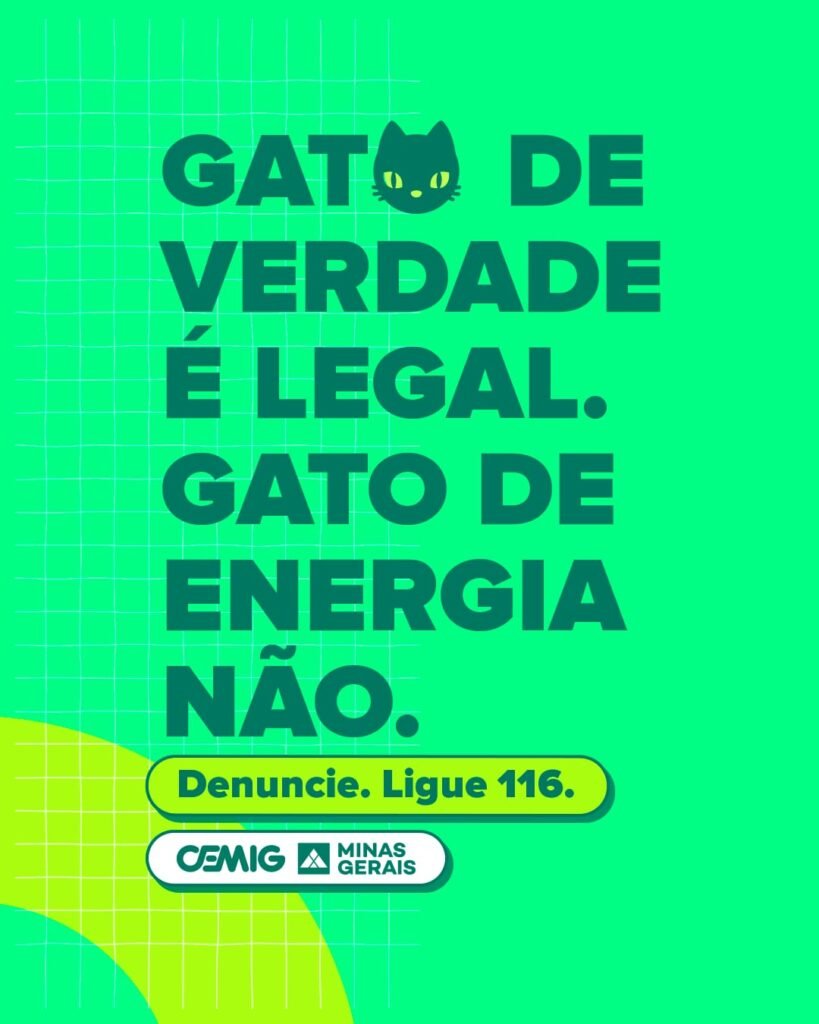 Cemig promove feira de adoção de pets em Belo Horizonte - WhatsApp Image 2024 07 11 at 15.15.07